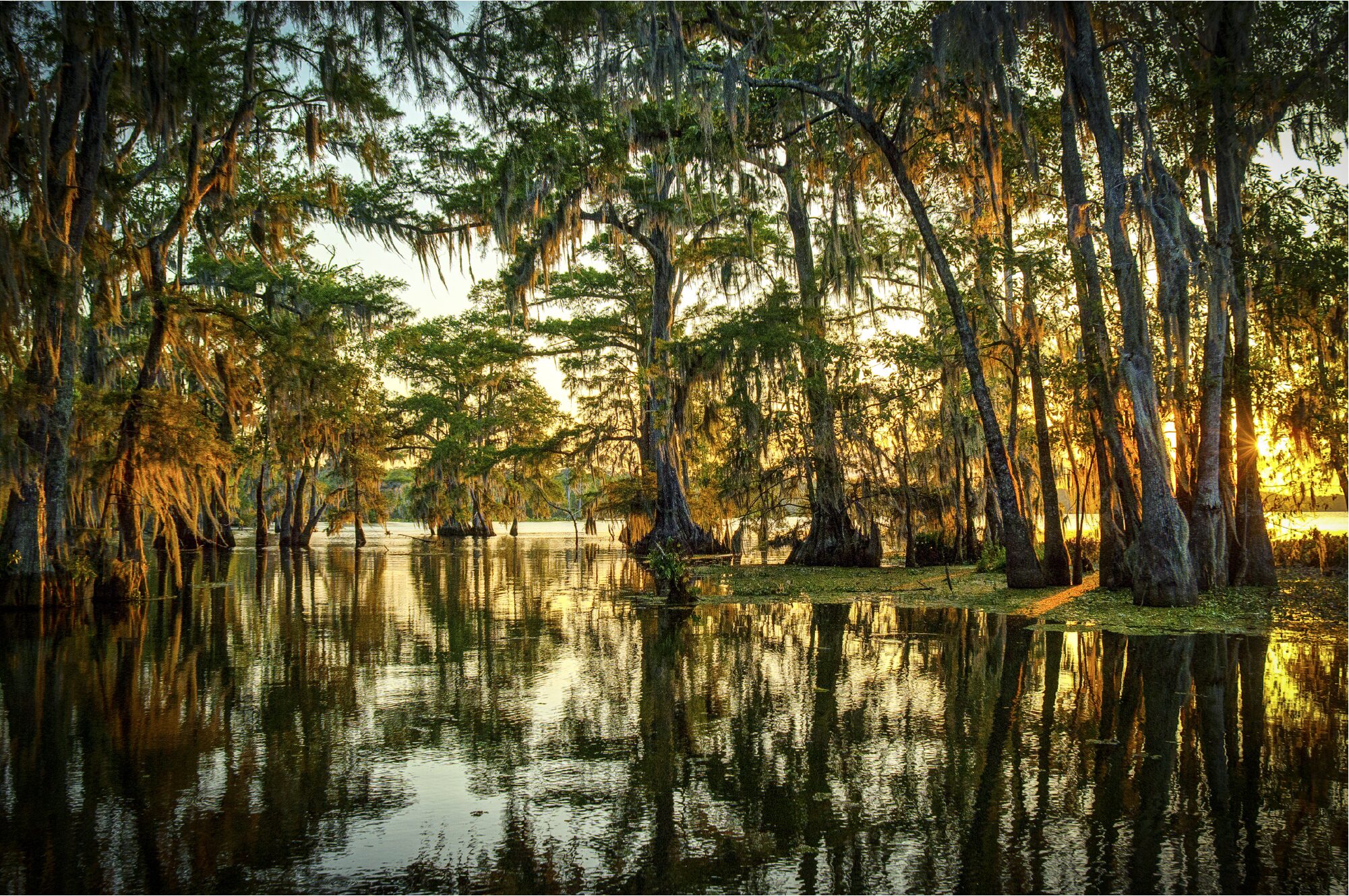 Sterling Flood — residential lifestyle